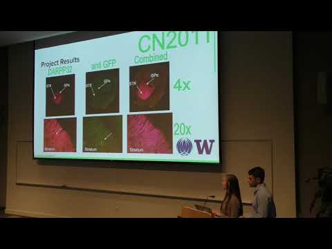 Charles Andrews & Haleigh Schwartz (Allen Institute: Lein Lab)