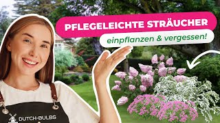 Die 6 Besten Pflegeleichten Sträucher Für Deinen Traumgarten Dutch-Bulbs.com