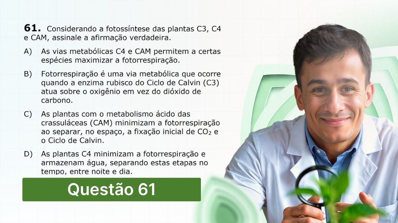 UECE 2019 — Considerando a fotossíntese das plantas C3, C4 e CAM, assinale a afirmação verdadeira.