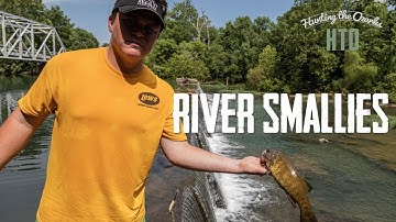 Smallmouth River Fishing | Cast Netting For Bait |