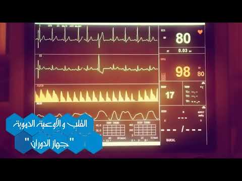 القلب و الأوعية الدموية جهاز الدوران الدورة الدموية الصغرى الدورة الدموية الكبرى