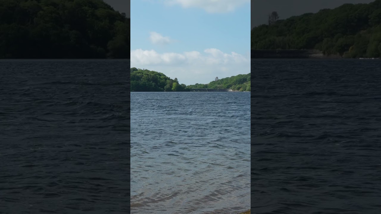 Burrator to the Dam Short