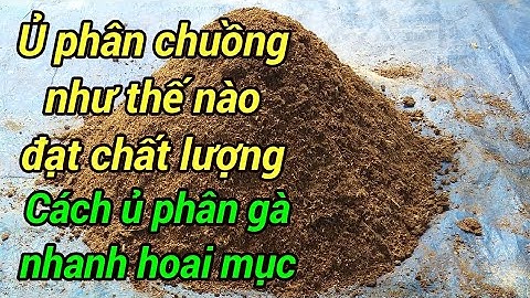 Cách ủ phân gà nhanh hoai mục