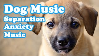 Anti Anxiety Music for Dogs - Cure Separation Anxiety with Dog Music!