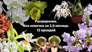 РОСТ В 2 РАЗА! Все 12 новичков за 2,5 месяца. ОБЗОР.