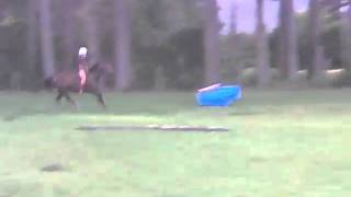 Jumping bareback without bridle