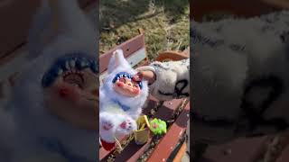 Biz Bunu Çok Begendik 