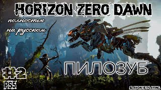 Horizon Zero Dawn: Complete Edition #2 [ПИЛОЗУБ]