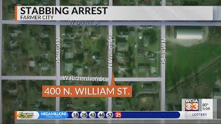 Farmer City Stabbing Arrest