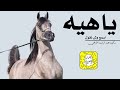 ياهيه اسمع وش نقول اداء سعد محسن 2023 حصريا 