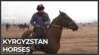 Horses: A cultural symbol in Kyrgyzstan