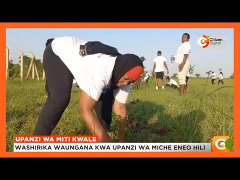 Video: Chuo kikuu cha ufundi cha takoradi kinapatikana wapi?