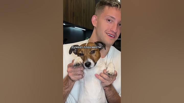 Кто ЛУЧШЕ соврёт 😀