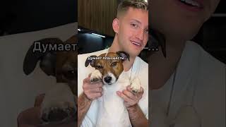Thumbnail for Кто ЛУЧШЕ соврёт 😀