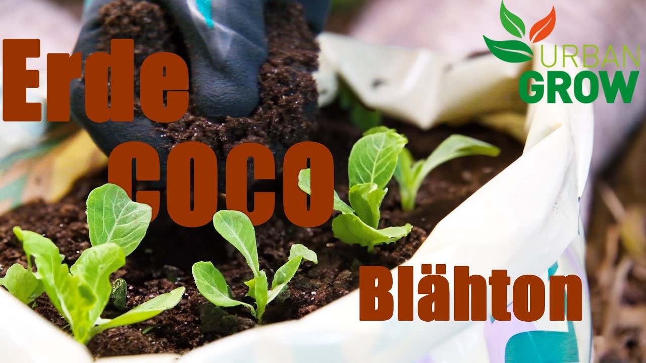 Alle Substrate von @cannadeutschland // feat. Pieter Klaassen