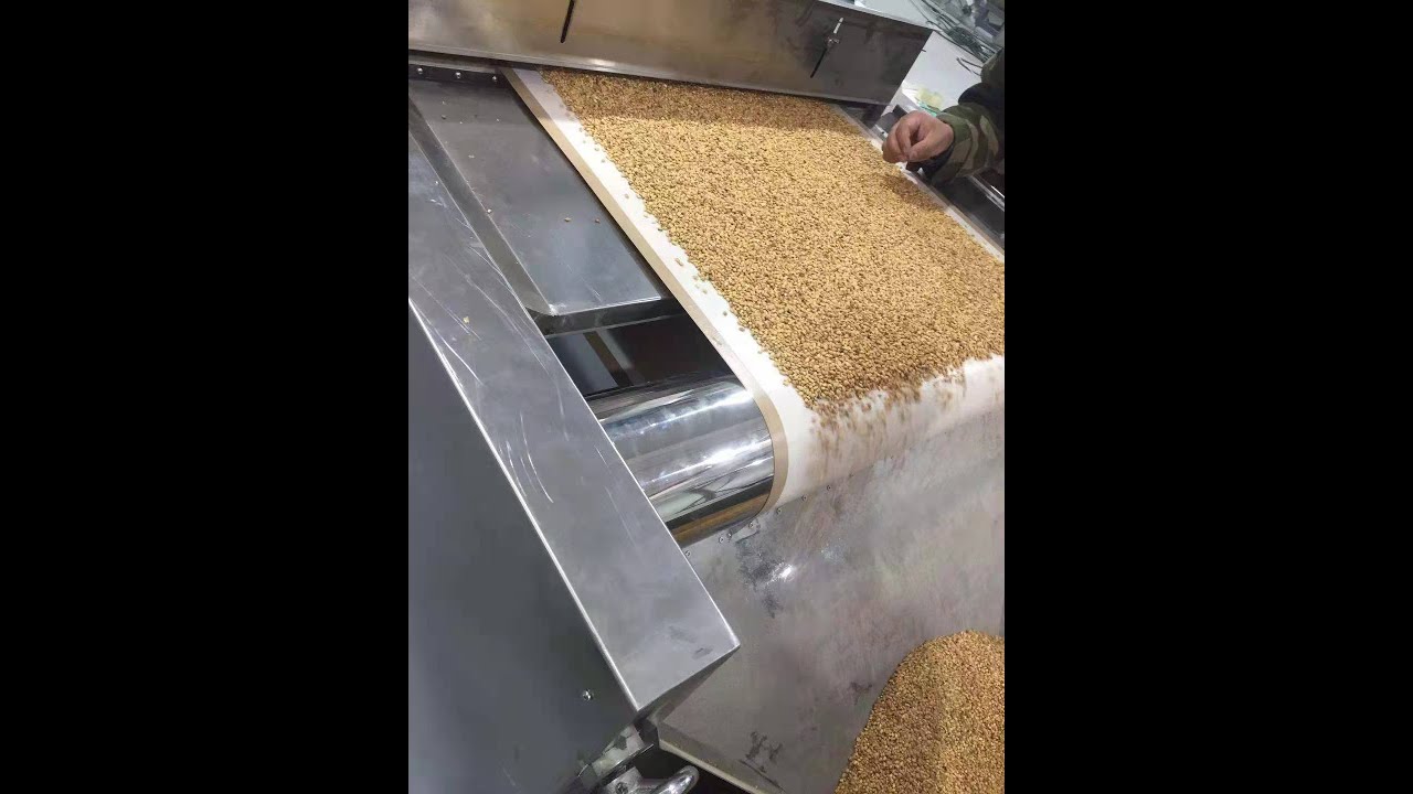 How to choose the right barley roasting machine? --Tunnel microwave roaster