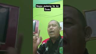 Napa Pulang lolagilolagi papiancau susu