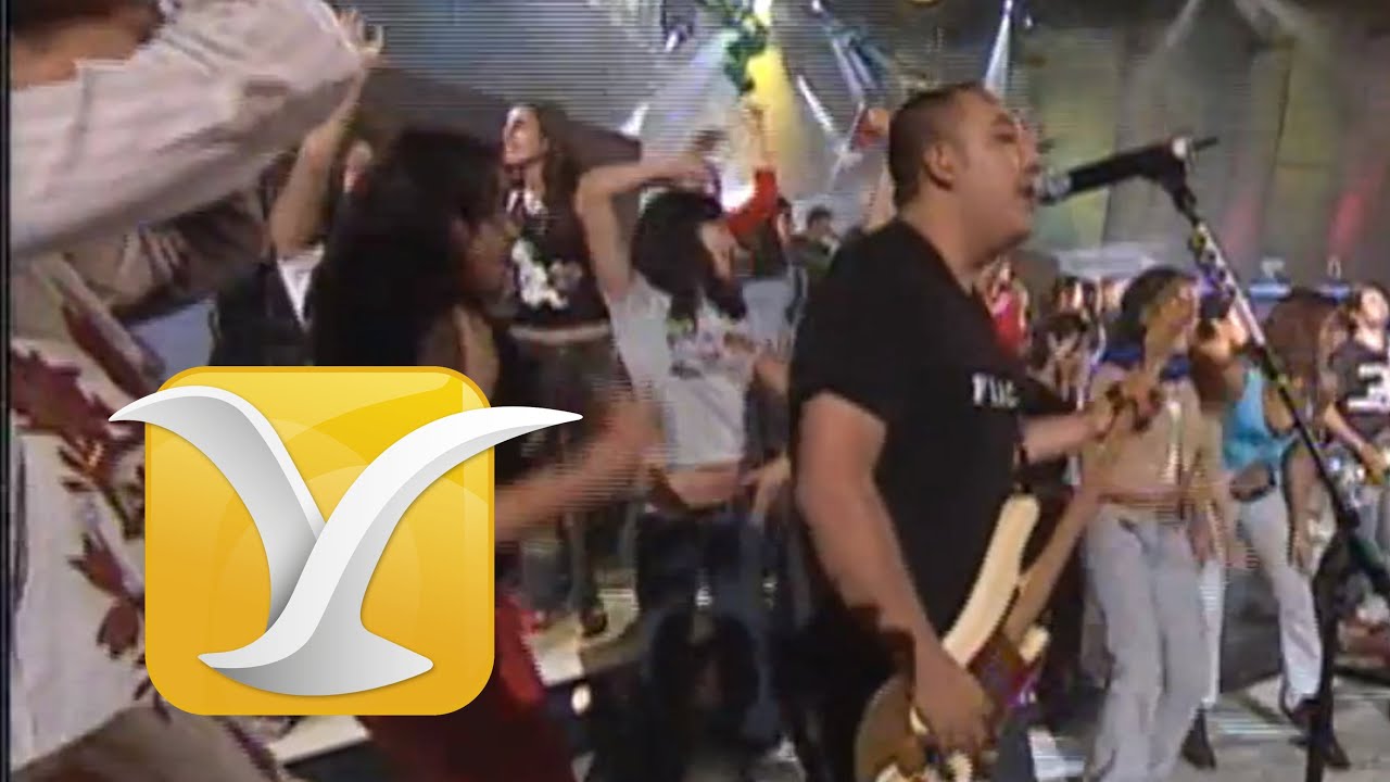 Molotov, Rastamandita, Festival de Viña 2004