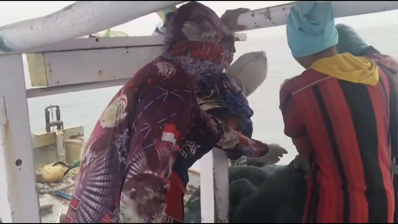 lama tak jumpa dengan ikan ini,akhirnya di dapat juga