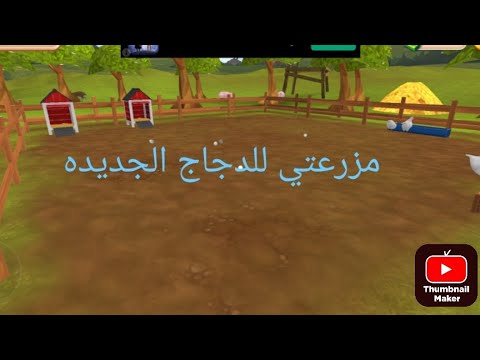 واخيرا لعبت اشهر لعبه دجاج في العالم