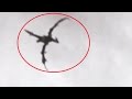 10 Mythical Creatures That Were Caught on Tape