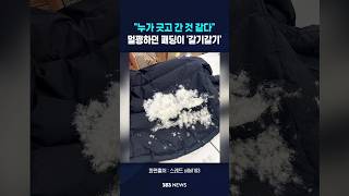 멀쩡하던 패딩이 '갈기갈기'.."누가 긋고 갔다" #shorts