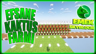 EN KOLAY KAKTÜS FARMI | MİNECRAFT SKYBLOCK BÖLÜM - 4 |#rebornskyblock