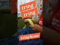 tring tring telephone #fun #entertainment #activity #relaxation #telephone #enjoyment