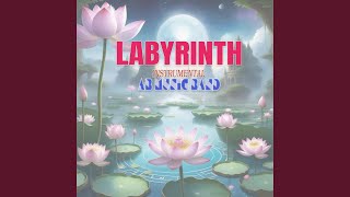 Labyrinth instrumental