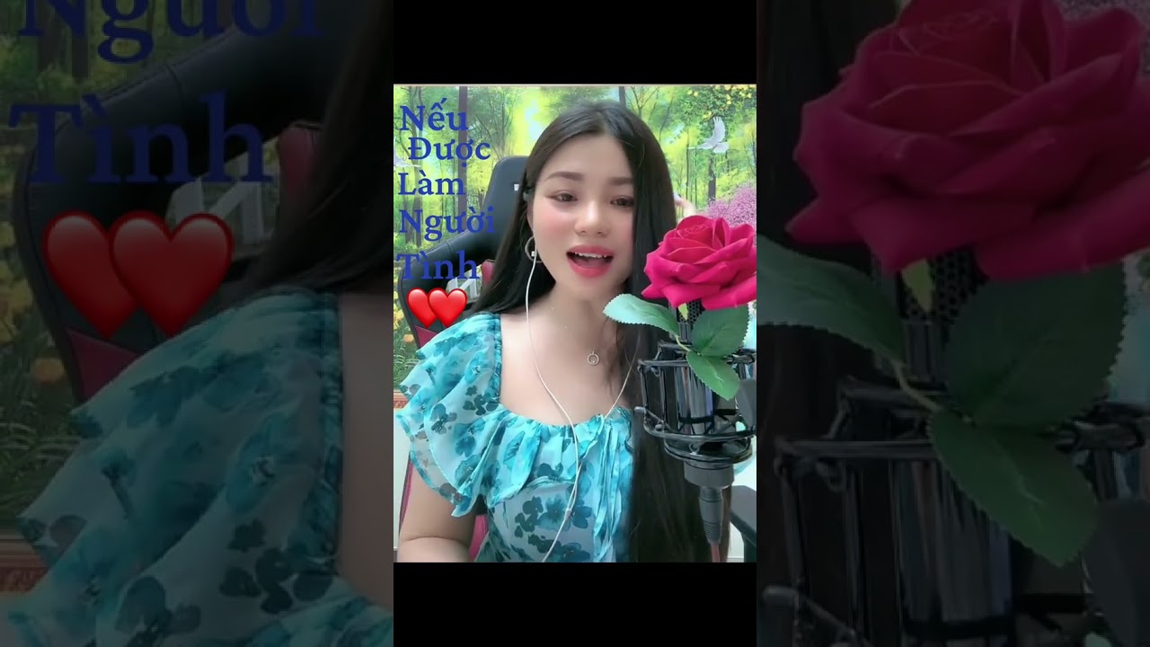 Nếu Được làm Người tình Bolero Hay