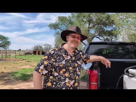 The land of milk and molasses