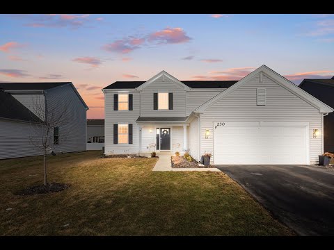 230 Whitney Dr, Elburn, IL home video tour