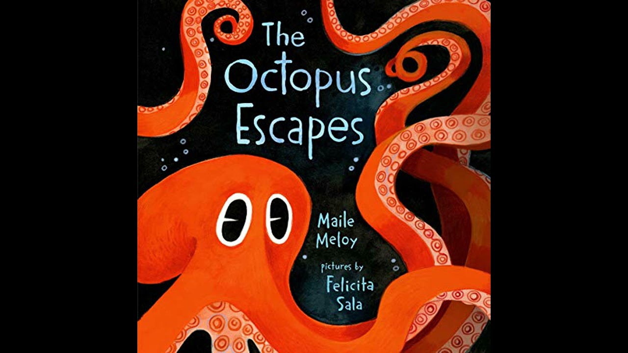 Octopus Escapes Audiobook by Maile Meloy