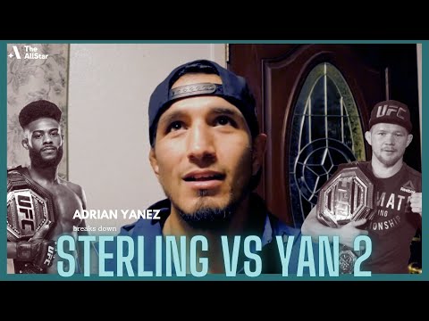 BREAKDOWN ▶️ What is the secret to Aljamain Sterling defeating Petr Yan in the rematch?