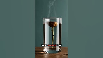 Your Personality Is Just Hypnotic Programming (Here