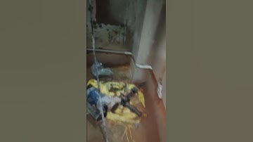 Electrical Experiment: Connecting Phaseand Neutral Wires - What Happens? DONOT REPLICATE #shorts#iit