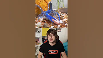 ПОЧЕМУ РАК СИНИЙ?