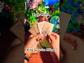 Kiya Surprise Milega? 🌻👩‍❤️‍👨🦋🍀#tarot #curentfeelings #fortunetelling #viralvideo