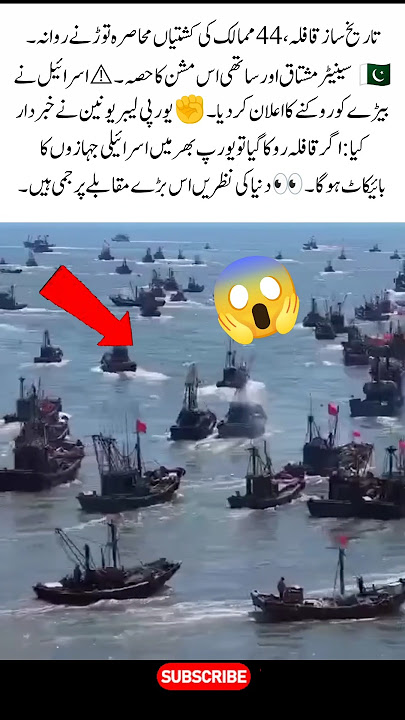 Historic Convoy of 44 Countries Challenges the Blockade | World Watches the Standoff