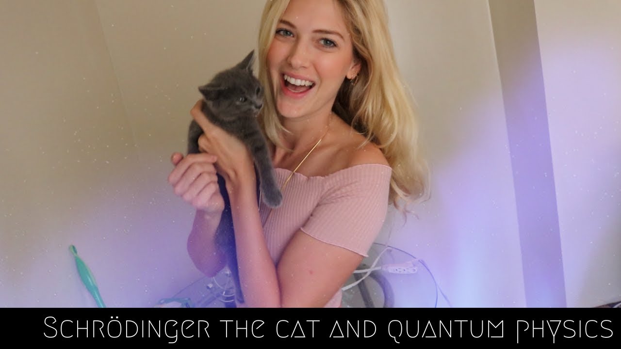 Schrödinger the cat and quantum physics! - YouTube