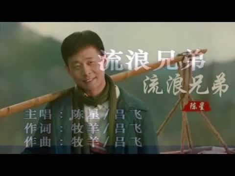 Blues口琴演奏陈星经典歌曲《流浪兄弟》#口琴 #经典老歌 #流浪兄弟#陈星