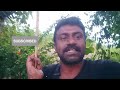 how to increase serch views on youtube malayalam | യൂട്യൂബ് വീഡിയോ സെർച്ചിൽ എങ്ങനെ എത്തിക്കാം?