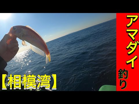 釣り船 丸十丸 第１２回 相模湾 アマダイ五目レポート Youtube