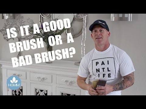 Is a Pro Paint Brush Worth the Money?