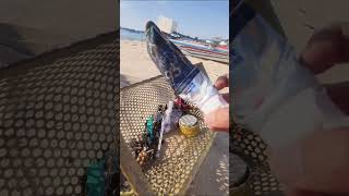 Beach Cleanup I Found Cosmetics, Candy, And Even Toothpaste