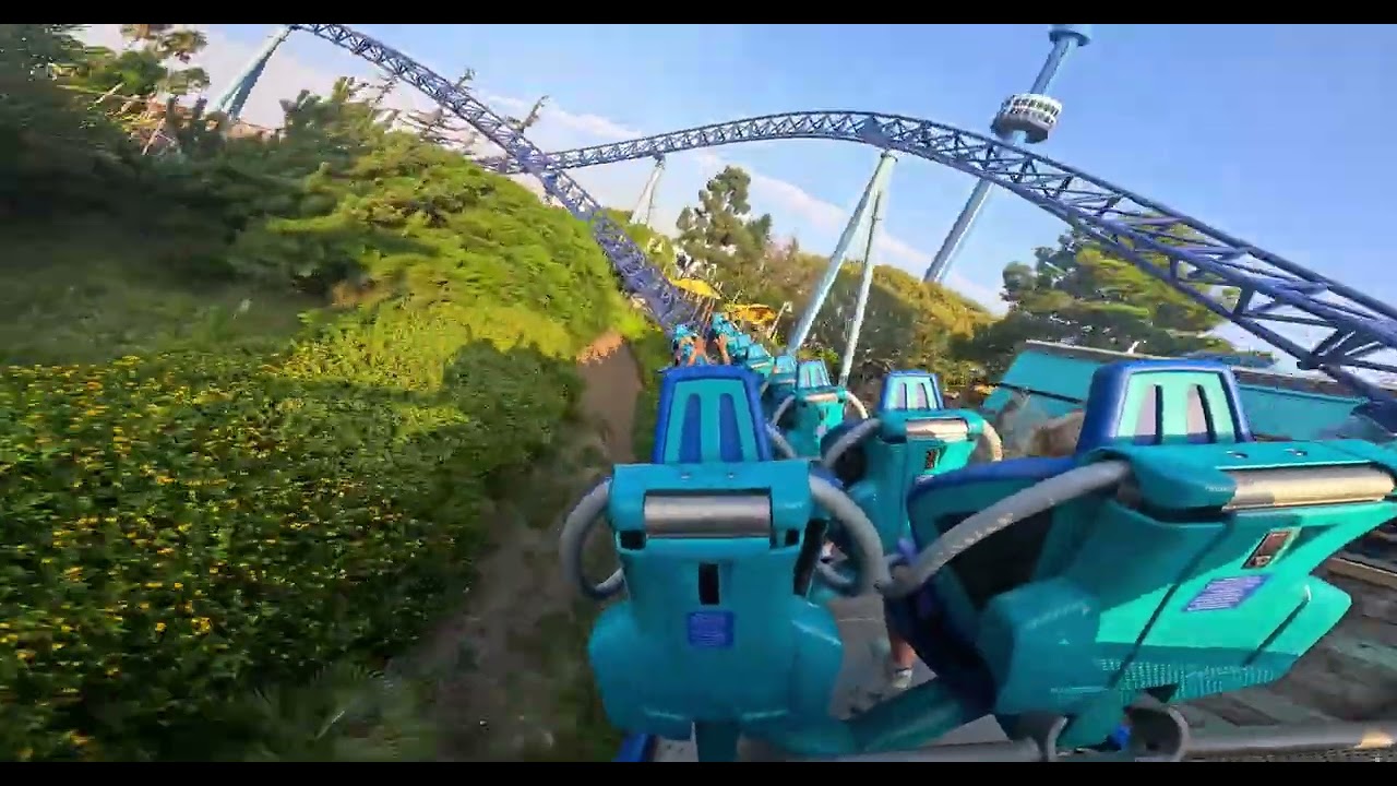 Manta Back Seat POV | 5k 60fps | Seaworld San Diego