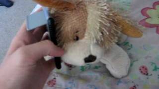 Gingers Web Show Ep.1