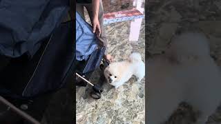 Có xe mới mặt hớn hở
