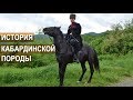 Асланбек Султанович Мирзоев. История Кабардинской породы лошадей.