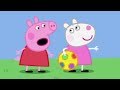 Peppa Pig Nederlands Compilatie Nieuwe Afleveringen ⭐ Spelen met de Bal ⭐ Tekenfilm | Peppa de Big